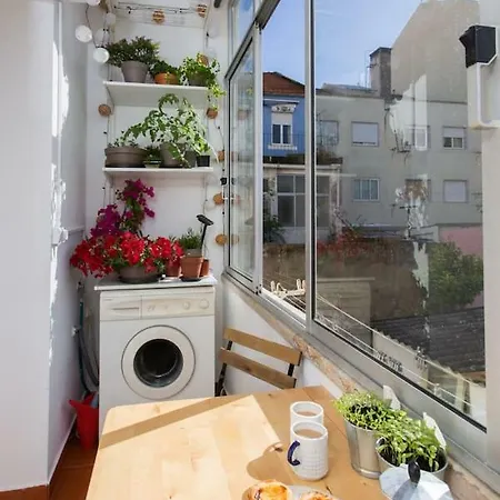 Appartement Casa Alegre